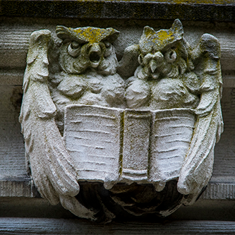 owls design on outside of the building