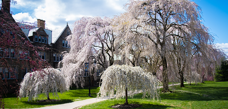 campus in the spring