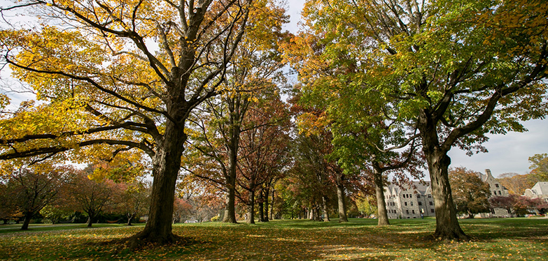 campus in the fall